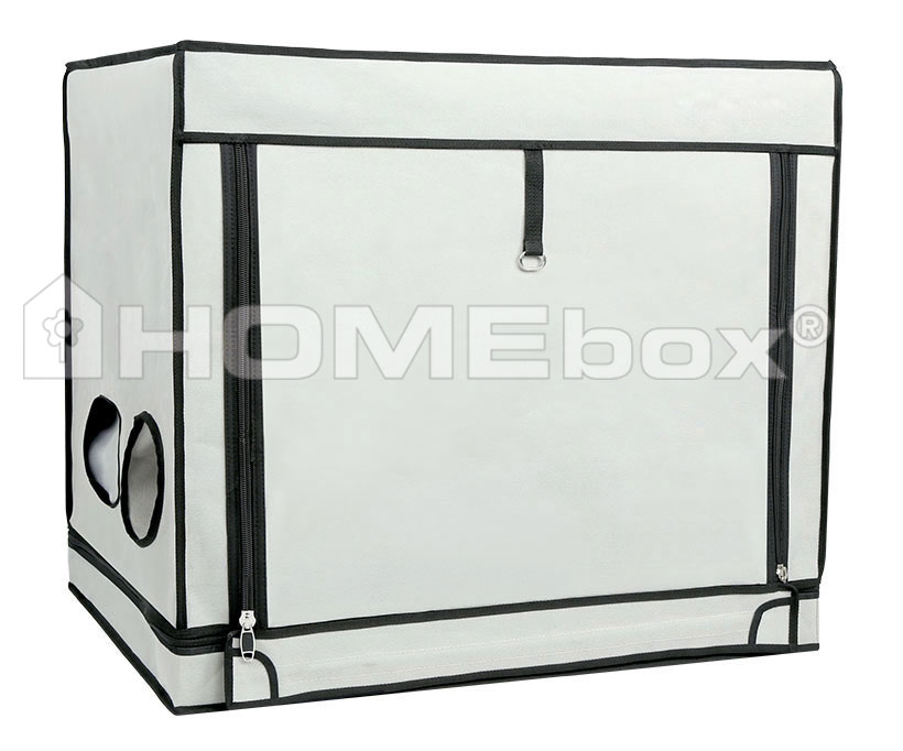 HOMEbox Ambient R80S
