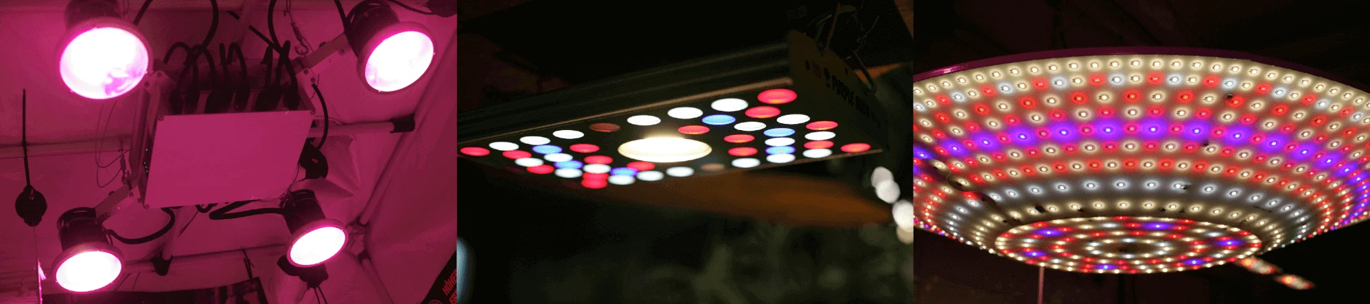 GreenParadise LED GreenParadise LED