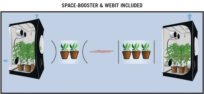 Secret Jardin Dark Street DS90 Details 7