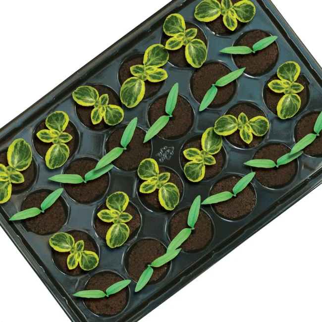 ROOT!T Natural Rooting Sponge 24 mit Tray Details 4