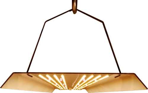 hortiONE 592 LED Pflanzenlampe 190W mit Bügel in Betrieb