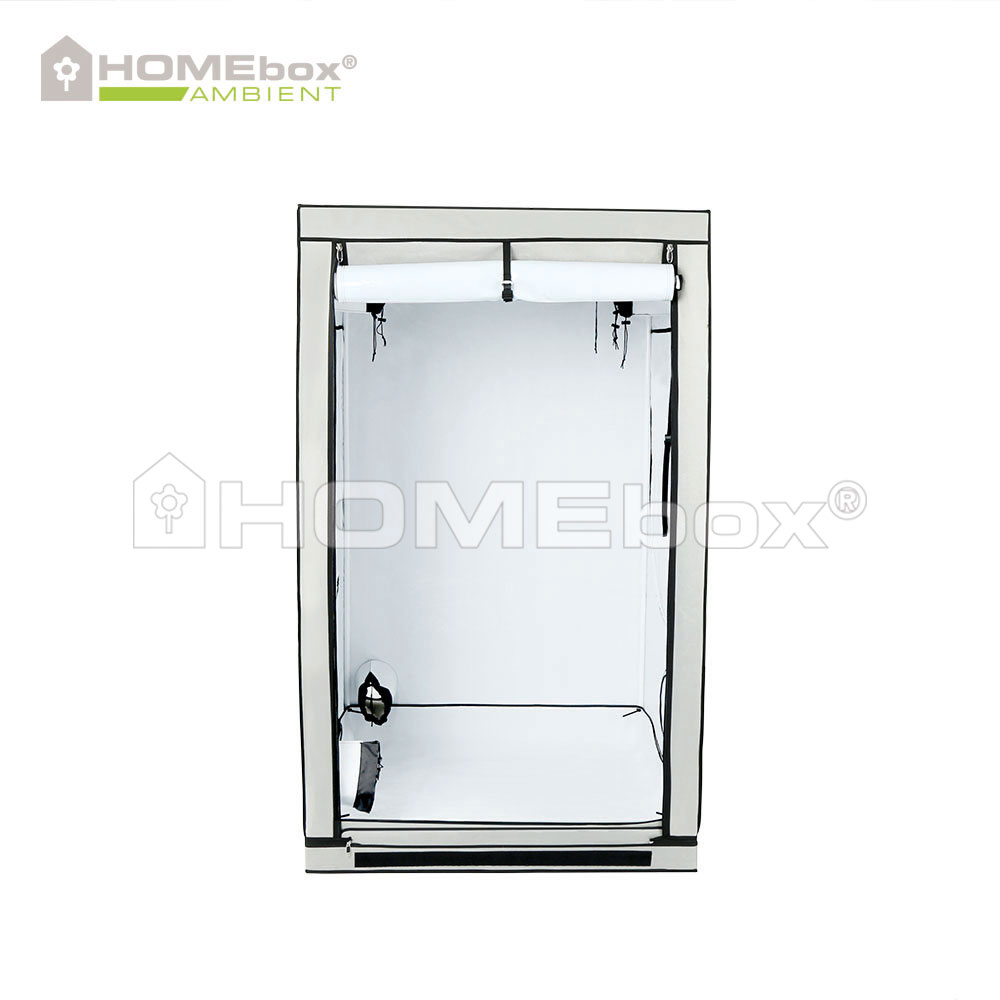 HOMEbox Ambient Q120 2