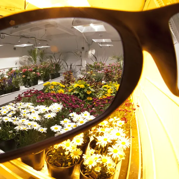 Method Seven Growroom Brille Gestell Operator Glas Fission+ HPS Details 2