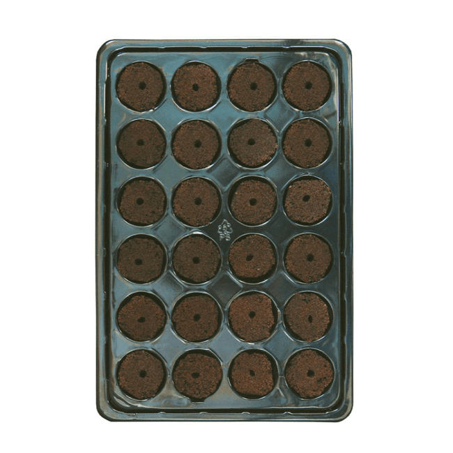 ROOT!T Natural Rooting Sponge 24 mit Tray