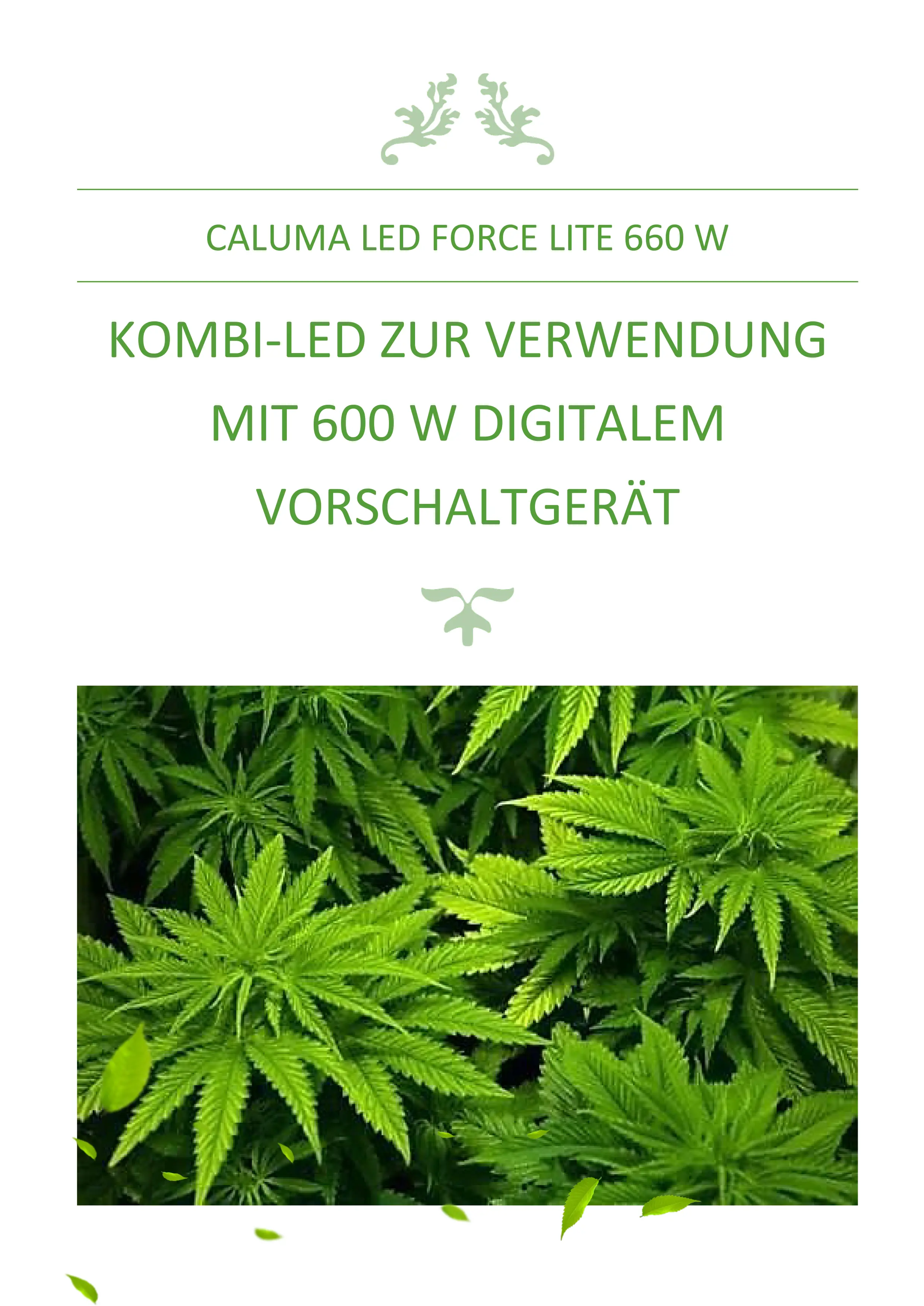 660WCaluma LED Dokumentation 3 Details 1