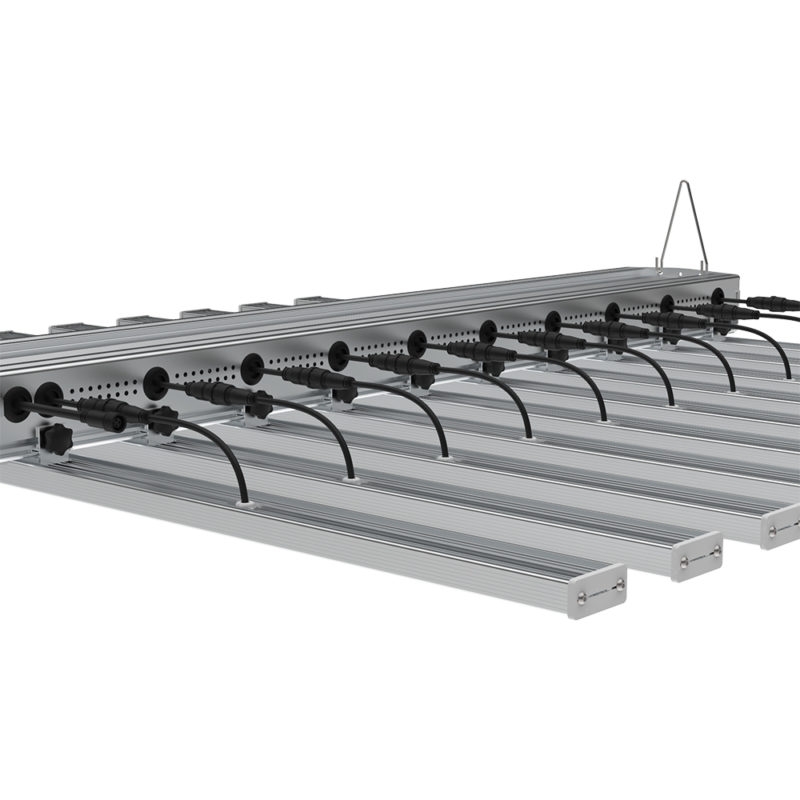 HallyProUltra 10 880W Vollspektrum inkl UV IR FR