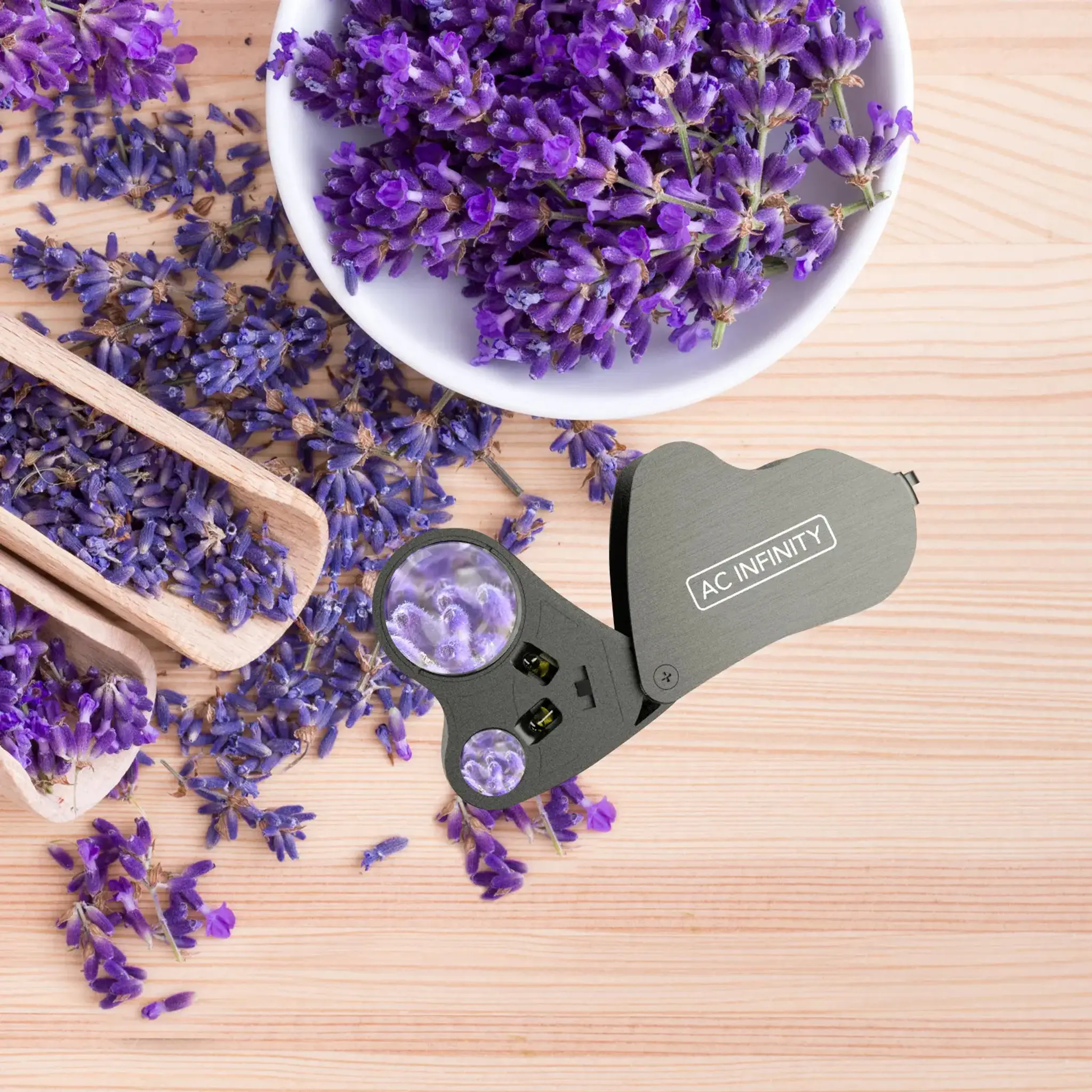 AC Infiniy Juwelier-Lupe Details 4