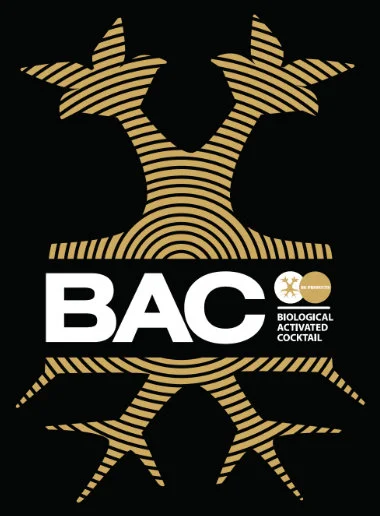 BAC Logo BAC Sugar Candy Syrup 5l