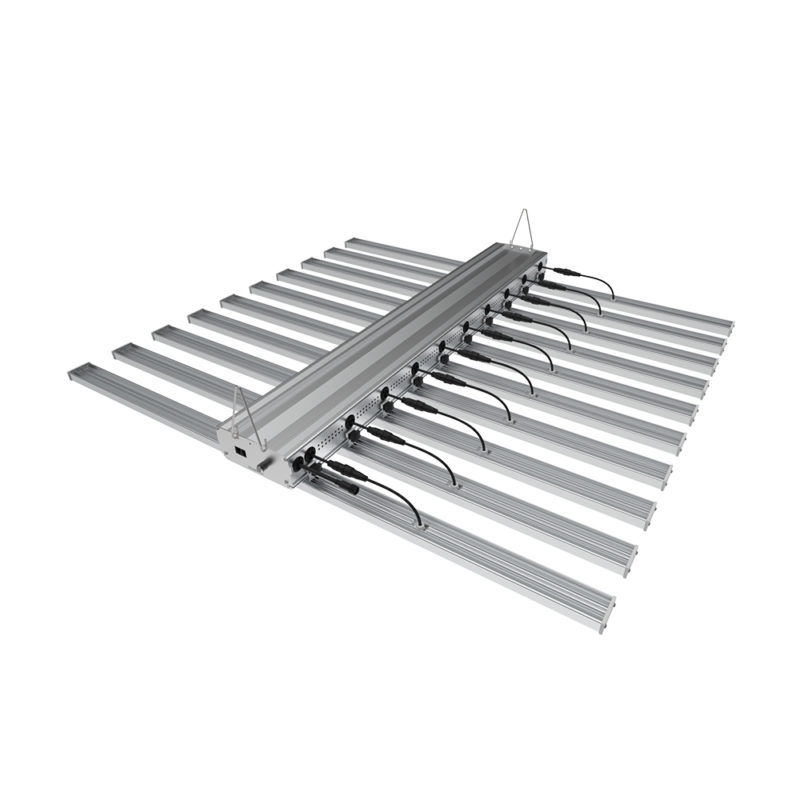 HallyProClassic 10 800W Vollspektrum