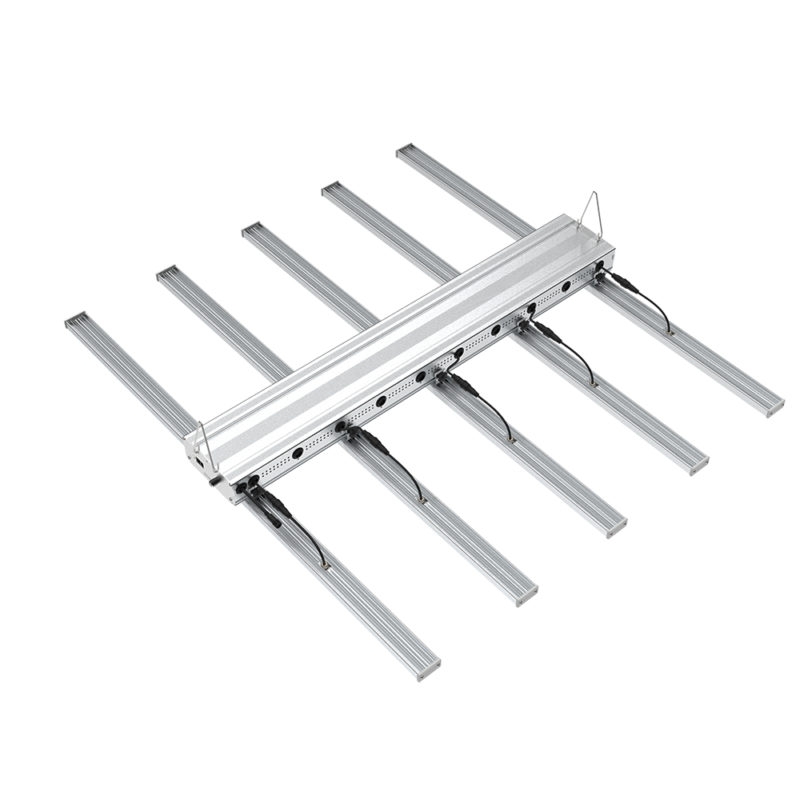 HallyProClassic 5 400W Vollspektrum