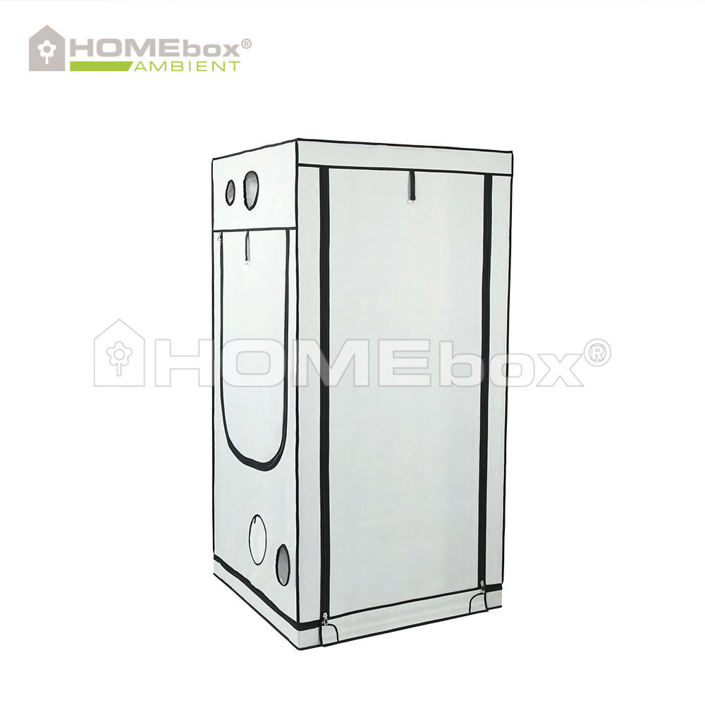 HOMEbox Ambient Q100 3