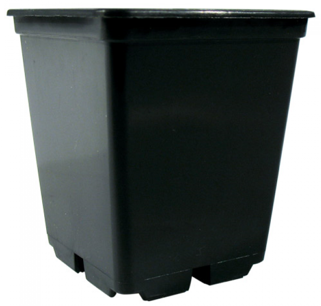 0,69L Pflanztopf TEKU , viereckig stabil 10x10x11 