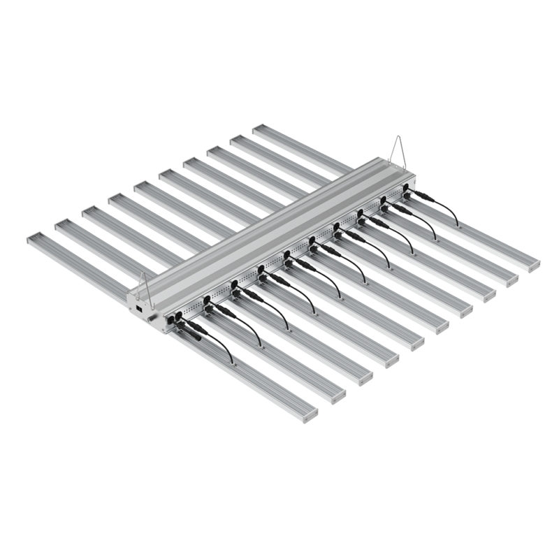HallyProClassic 10 800W Vollspektrum