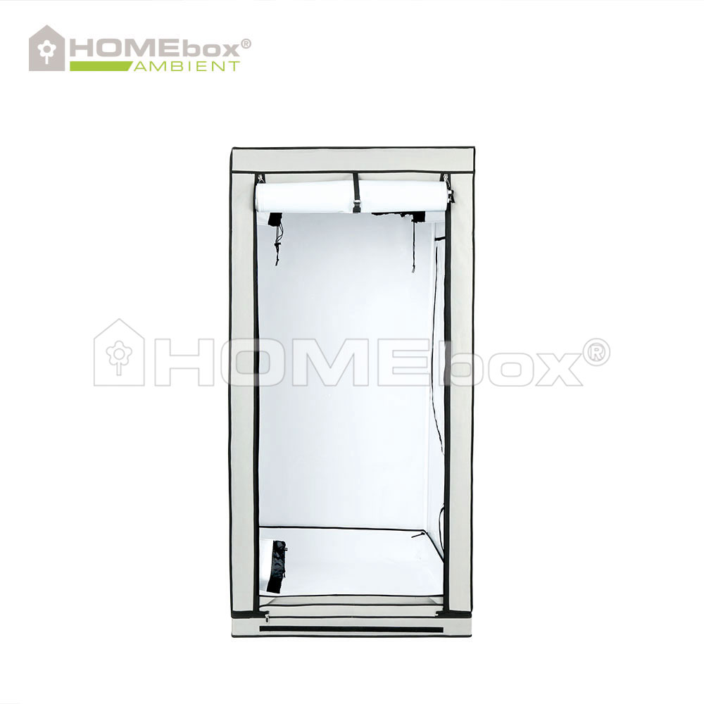 HOMEbox Ambient Q100 2